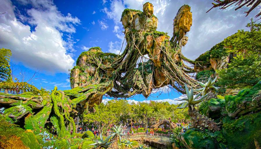 What You Need to See While Visiting Disney’s Animal Kingdom