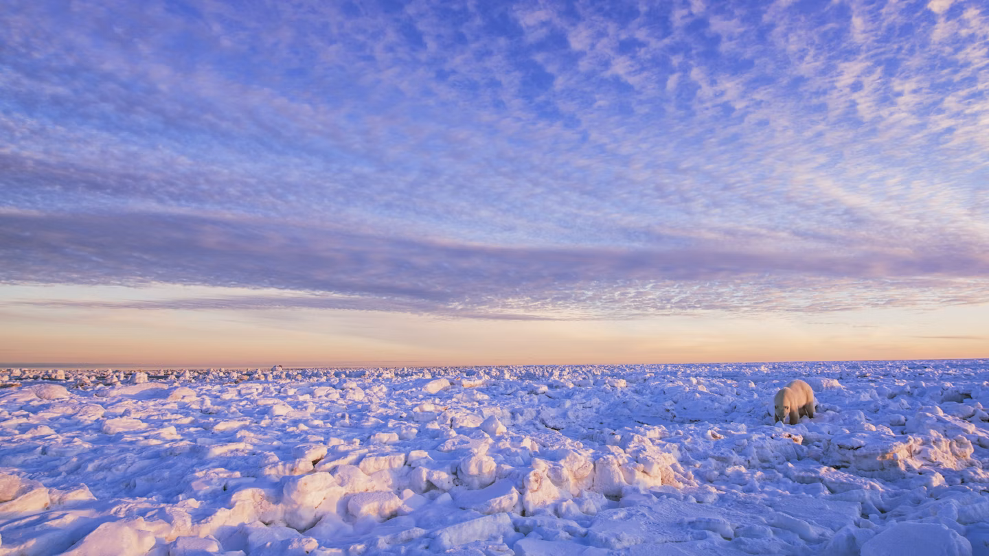 Eight Extraordinary Trips That Will Make You Love Winter