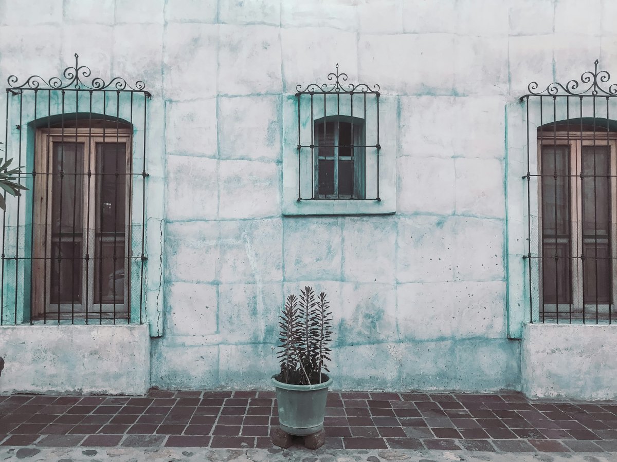 The Art of Slow Living: Embracing a More Intentional Lifestyle