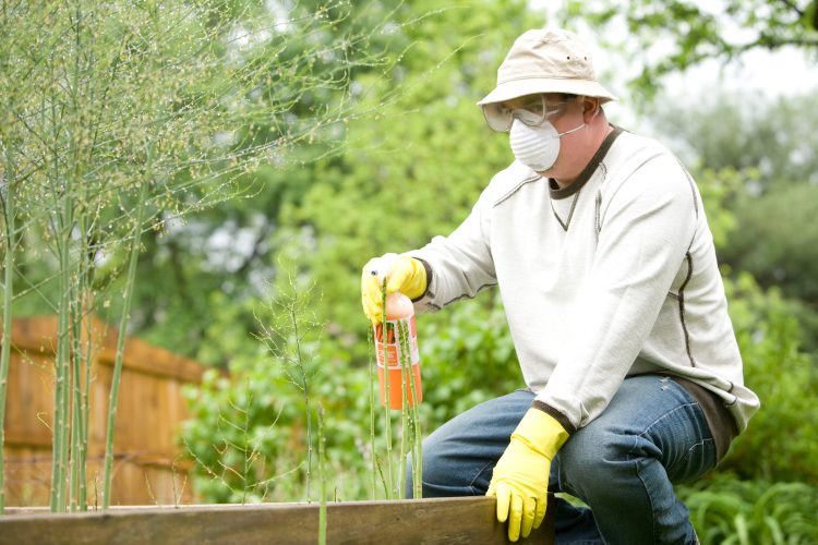 4 Ways You Can Benefit From Pest Control Services
